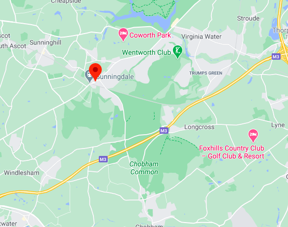 tree surgeons sunningdale