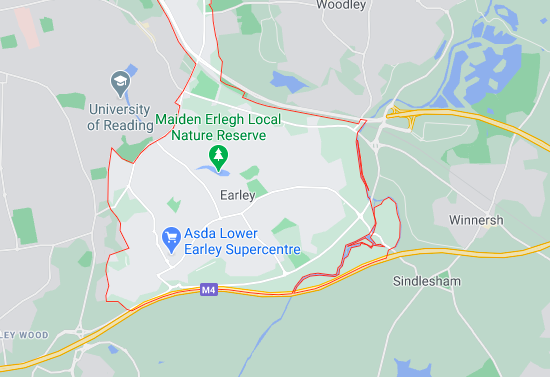 tree surgeons earley