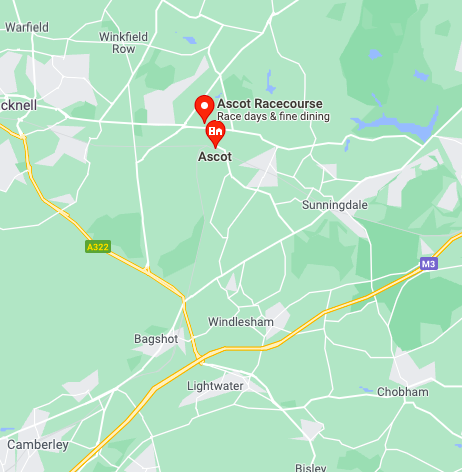 local tree surgeons & hedge trimmers